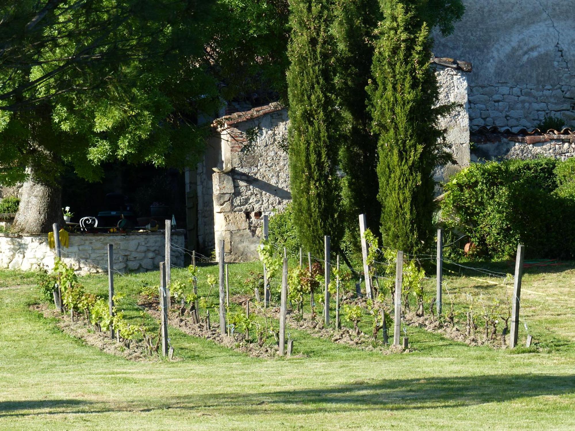 Готель Domaine De La Monestarie - Teritoria Bernac  Екстер'єр фото