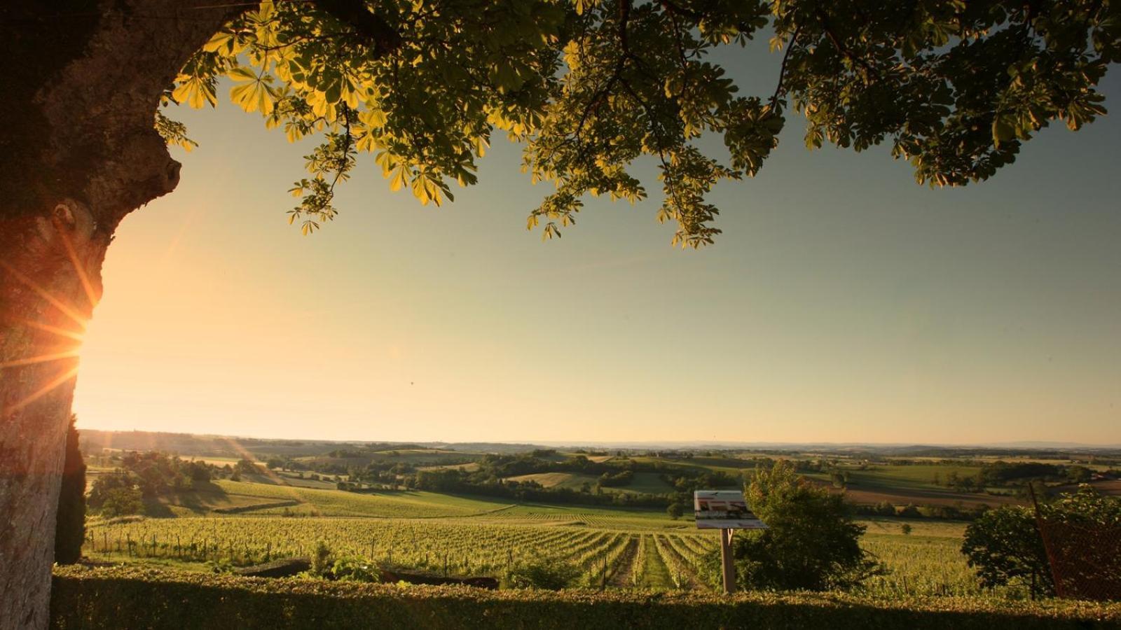 Готель Domaine De La Monestarie - Teritoria Bernac  Екстер'єр фото